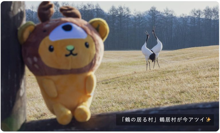 「鶴の居る村」鶴居村が今アツイ